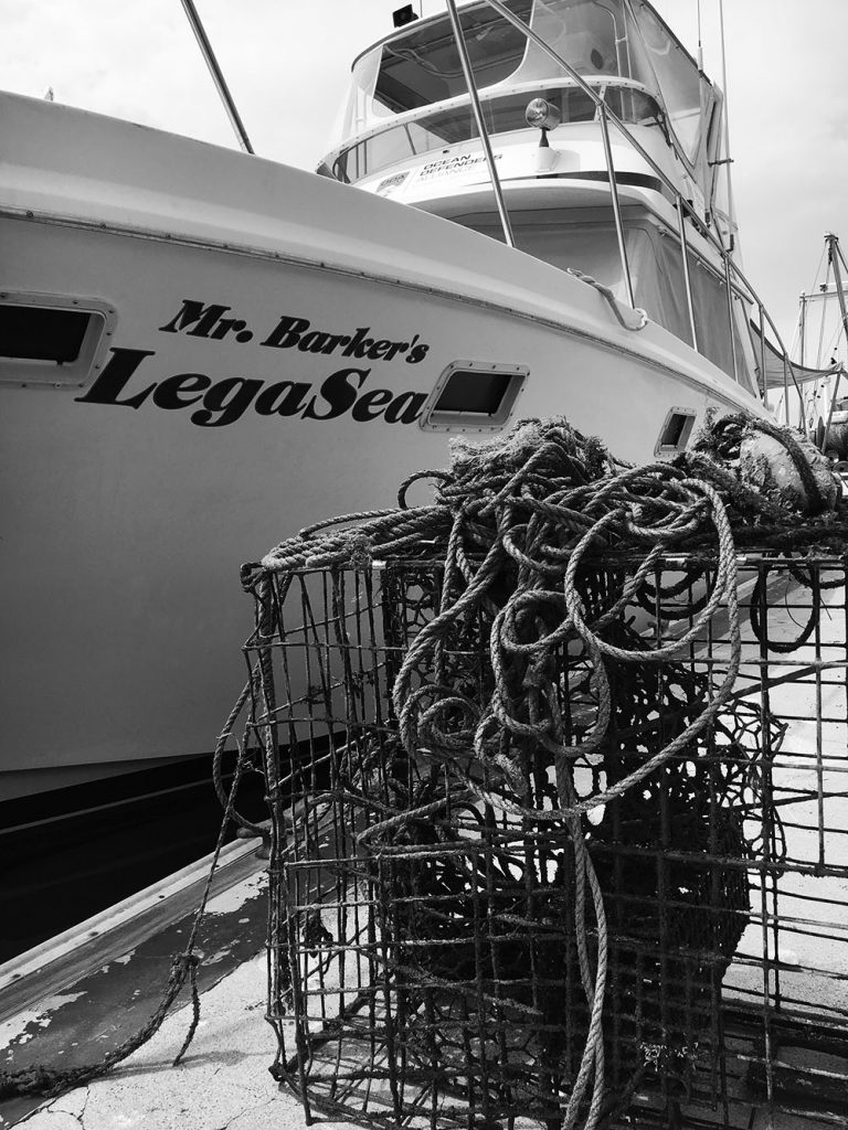 Lobster trap found today on our excursion with Ocean Defender Alliance on The Legay boat donated by legendary tv host Bob Barker.